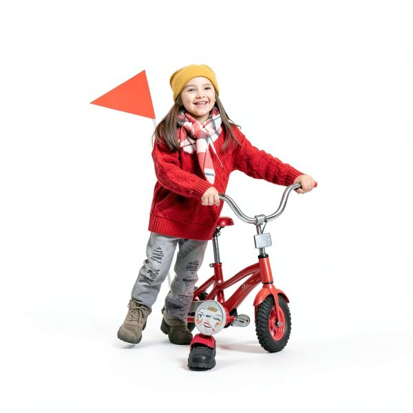 Odowalker Bike Safety Flag High Visibility Adjustable Height-4