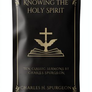 Grapevine Christian Pneumatology eBook English Language-0