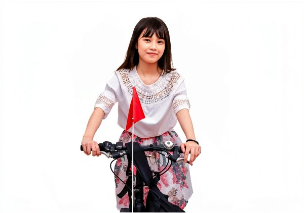 Abaodam Bike Safety Flag Portable Whip Flag for Cycling-1