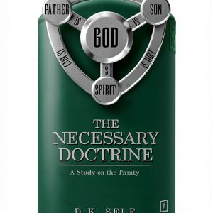 Amazon Pneumatology Kindle eBook 169 Pages-0
