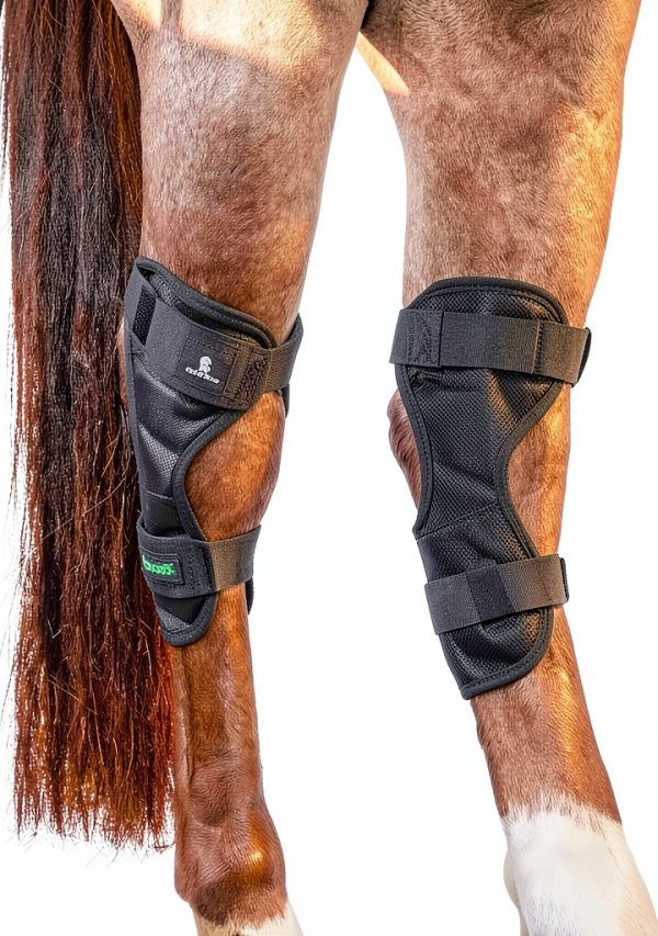 Classic Equine MagNTX Hock Wrap Magnetic Therapy Cotton Multicolored-0